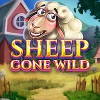 Sheep Gone Wild screenshot